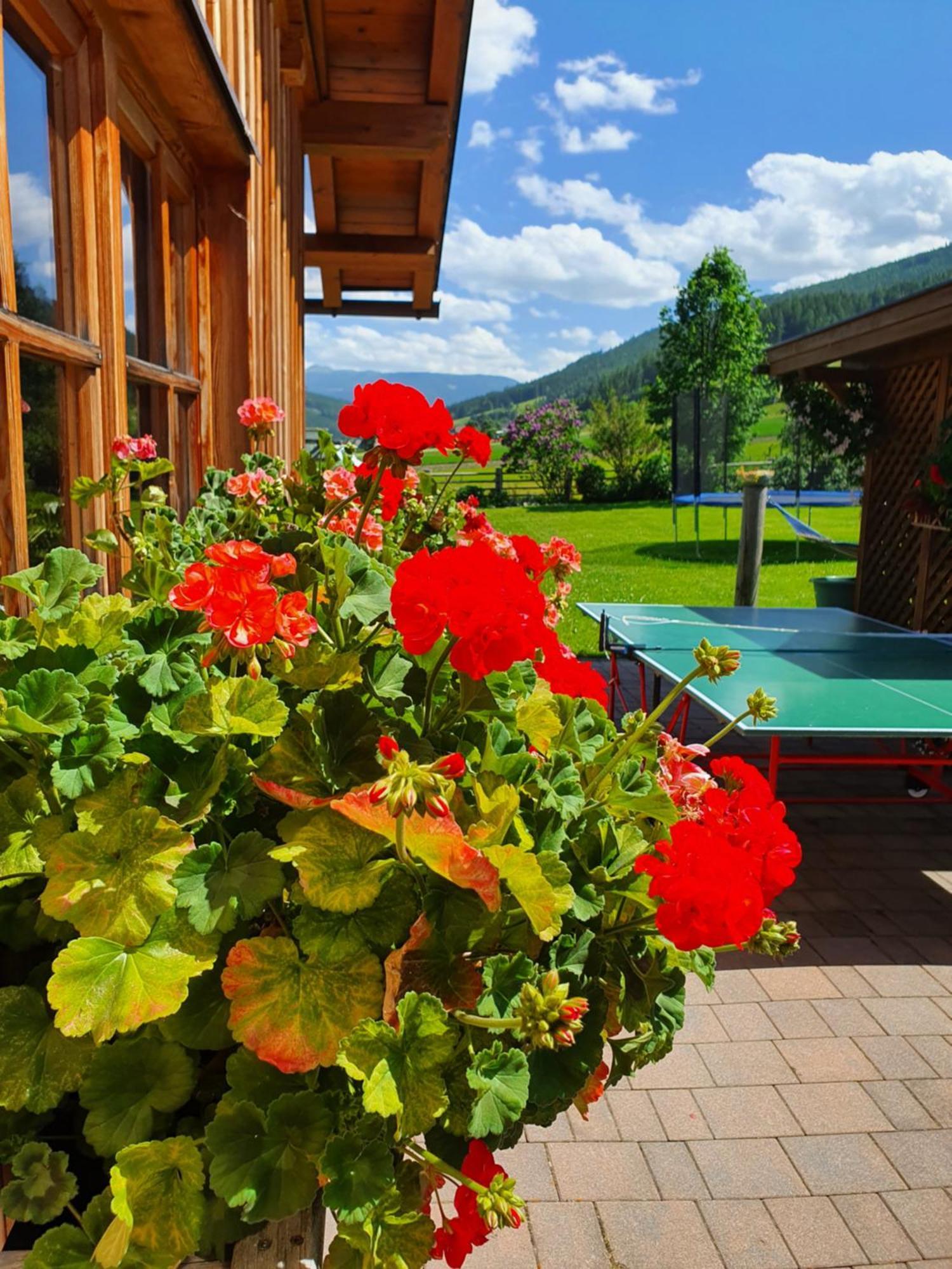 Ferienwohnungen Haus-Holzer Mauterndorf  Kültér fotó