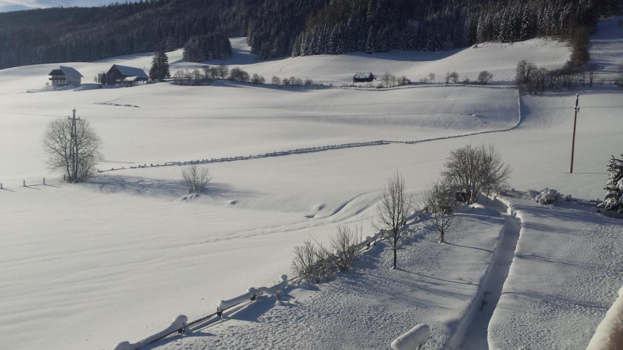 Ferienwohnungen Haus-Holzer Mauterndorf  Kültér fotó
